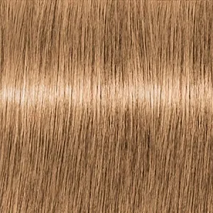 Lebel Edol Be-9 , 80