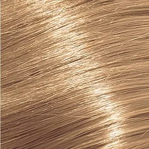 Loreal ������� �������� 10.31, 60 ��