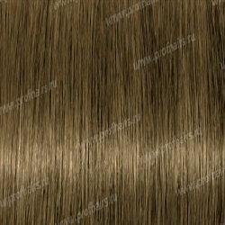LEBEL LUQUIAS Фито-ламинирование CB|L Темный блондин холодный 150 гр.