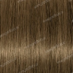 LEBEL LUQUIAS Фито-ламинирование B|L Темный шатен коричневый 150 гр.