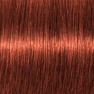Lebel Materia O6    80 .