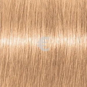 Lebel Materia OBe10    80 .