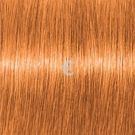 Lebel Materia Make - Up Line    MO  80 .