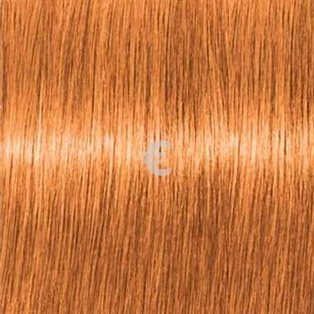 Lebel Materia O10   80 .