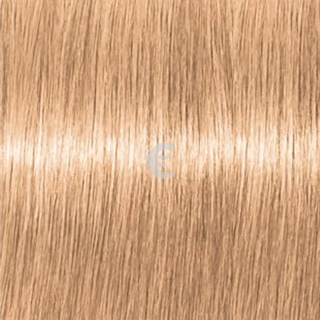 Lebel Materia OBe10   80 .