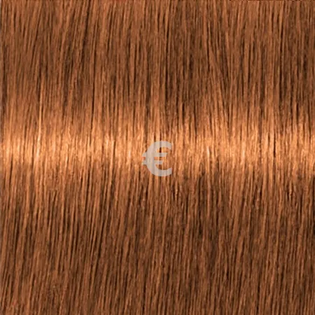 Lebel Materia OBe8   80 .