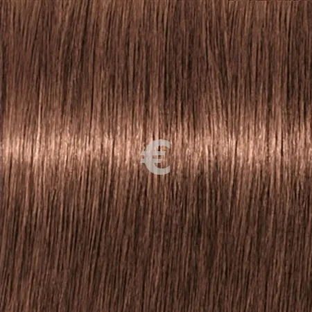Lebel Materia WB6   80 .