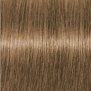 Loreal   ODS     8.13, 60 .