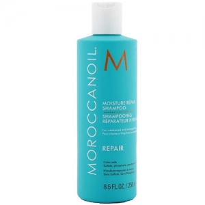 Moroccanoil    250 