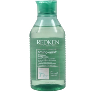 Redken Amino Mint  ������� 300 ��