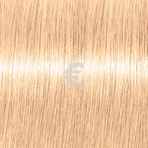 Revlon Professional Revlonissimo Color Excel Gloss 10.04   70 