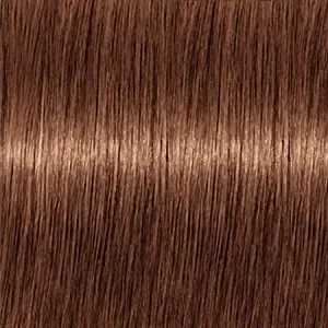 Revlon Professional Revlonissimo Color Excel Gloss 6.34  70 