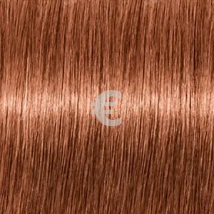Revlon Professional Revlonissimo Color Excel Gloss 8.342  70 