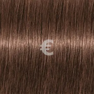 Revlonissimo Colorsmetique 6   60 