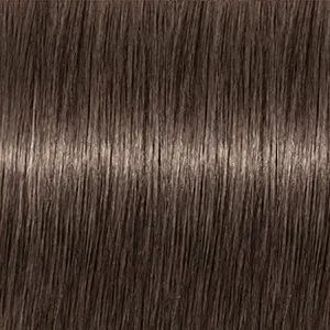 Revlonissimo Colorsmetique 6.1    60 